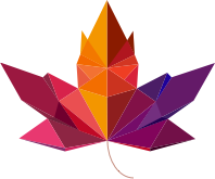 Full Stack Developer Intern